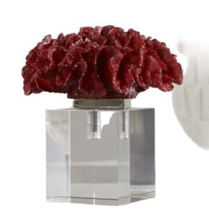 Rare Red Coral Cluster